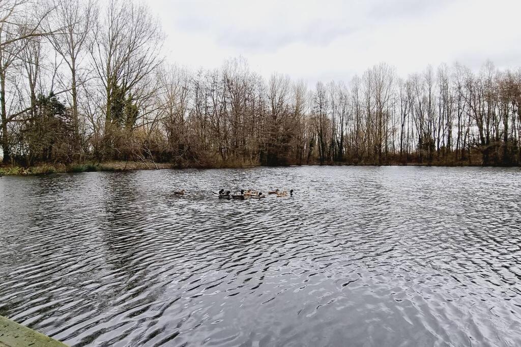 *L'Ecrin De L'Etang* Depaysement Assure Villa Bourbourg Exterior photo